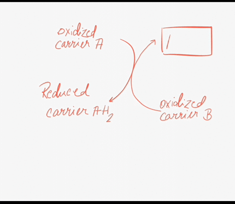 par-a-which-is-the-best-choice-for-the-box-labeled-answer-in-the-illustration-below-llaker-oxidized-canier-reduced-canier-ah-2-oxidized-canier-b-energy-reduced-carrier-bhz-carbon-dioxide-oxi-82387