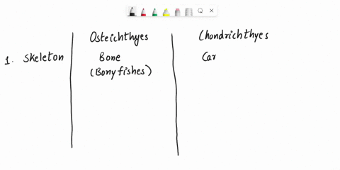 cite-three-differences-between-osteichthyes-bony-fishes-and-chondrycties-cartilaginous-fishes-11446