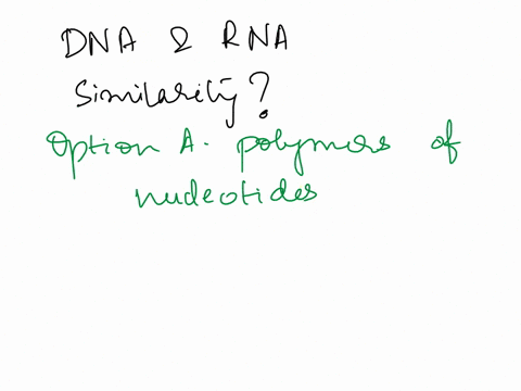 what-is-a-similarity-between-dna-and-rna-a-both-are-polymers-of-nucleotides-b-both-are-composed-of-antiparallel-strands-c-both-contain-adenine-cytosine-and-thymine-d-both-contain-ribose-suga-20473