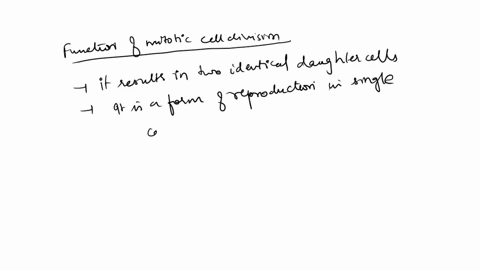 what-is-the-function-of-mitotic-cell-division-94232