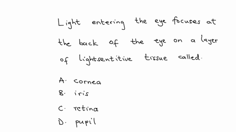 17-light-entering-the-eye-focuses-at-the-back-of-the-eye-on-a-layer-of-lightsensitive-tissue-called-a-comea-b-iris-c-retina-d-pupil