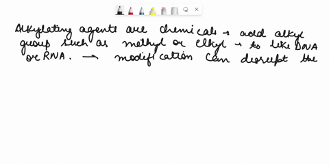 agents-do-what-do-alkylating-they-oxidize-guanine-they-deaminate-cytosine-they-cause-pyrimidine-dimers-they-add-methyl-or-ethyl-groups-to-bases-all-of-the-answers-are-correct_-previous-74877