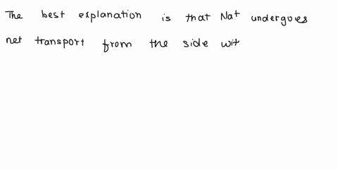 you-are-examining-the-data-from-two-time-points-taken-in-an-experiment-at-time-1-there-was-an-extracellular-concentration-of-na-of-115-mm-outside-the-cell-and-8mm-inside-the-cell-an-amino-ac-21501