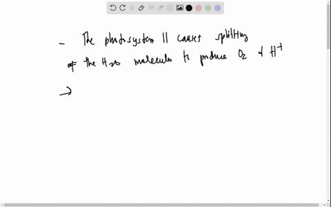 5-the-oxygen-released-by-photosynthesis-is-produced-by-which-of-the-following-processes-a-splitting-water-molecules-b-chemiosmosis-the-electron-transfer-system-of-photosystem-d-the-electron-06997
