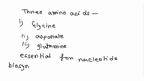 b_-which-amino-acids-are-essential-for-nucleotide-synthesis-3-marks-64177