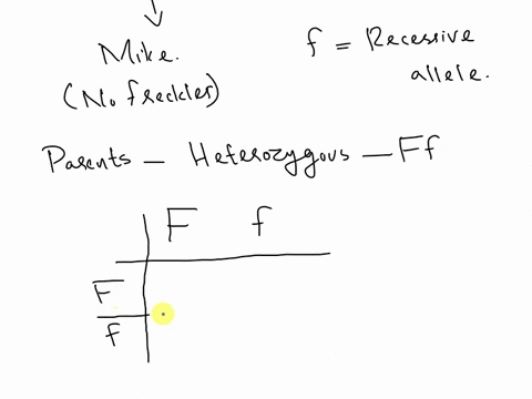 tim-and-jan-both-have-freckles-see-module-99-but-their-son-mike-does-not-show-with-a-punnett-square-how-this-is-possible-if-tim-and-jan-have-two-more-children-what-is-the-probability-that-both-will-ha