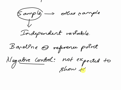 what-is-the-purpose-of-a-negative-control-and-a-positive-control-34453