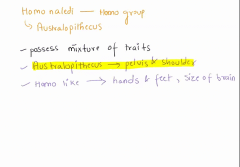 1describe-why-homo-naledi-is-considered-to-be-part-of-genus-homo-instead-of-an-australopithecine-explain-why-john-hawks-and-lee-berger-believe-that-the-rising-star-chamber-may-be-an-example-13426