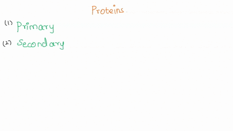 19-the_-structure-of-a-protein-refers-to-the-linear-sequence-of-amino-acids-that-protein-20-make-up-an-example-of-the-primary-structure-of-protein-in-the-space-below-21-the_-structure-of-a-p-33837