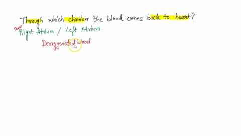 when-blood-leaves-the-left-ventricle-of-the-heart-it-transports-blood-to-the-bodys-cells-when-this-blood-comes-back-to-the-heart-it-enters-the-following-chamber-via-the-superior-and-inferior-93885