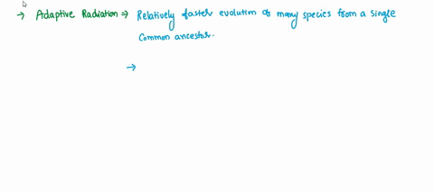 what-is-adaptive-radiation-the-event-when-a-species-no-longer-has-living-members-large-scale-evolutionary-patterns-and-trends-in-speciation-a-lineage-undergoes-a-burst-of-genetic-divergences-44383