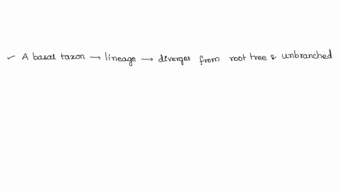 based-on-the-tree-below-which-statement-is-correct-a-lizards-and-goats-form-a-sister-group-b-salaman-24235