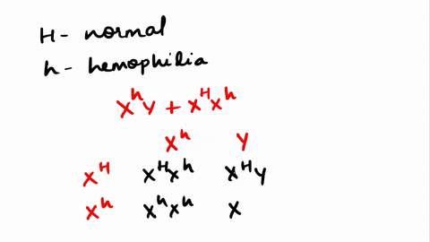 hemophilia-is-a-sex-linked-recessive-trait-h-normal-h-hemophilia-a-male-hemophiliac-and-phenotypically-normal-female-have-a-girl-that-is-a-hemophiliac-all-of-the-following-statements-are-cor-32271