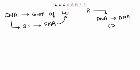 describe-why-dna-replication-is-said-to-be-a-semiconservative-process-explain-how-random-mutations-such-as-those-in-pathogens-with-a-mutator-phenotype-may-arise-in-the-dna-of-an-organism-29263