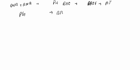 rna-has-name-similar-to-dna-because-they-belong-to-the-same-category-of-biomolecule-in-which-the-following-wavs-is-rna-similar-both-rna-and-dna-consist-of-two-strands-both-are-polynucleotide-51286