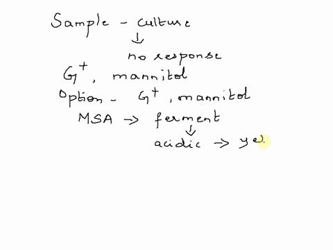 biochemical-test-citrate-sim-test-test-test-lia-test-test-medic-observation-sampletaken-from-a-suppurativeskin-woundthepatienthad-been-treated-with-someantibioticpreviouslywithoutany-respons-53336