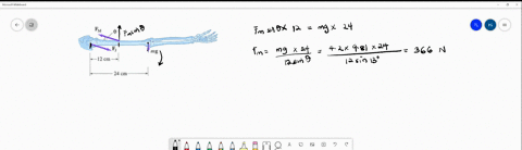 4-to-hold-your-arm-out-straight-the-deltoid-muscle-fm-on-the-diagram-must-pull-at-an-angle-of-0-130-note-fj-on-the-diagram-is-not-at-139-if-the-mass-of-the-arm-is-42-kg-a-calculate-the-force-63757
