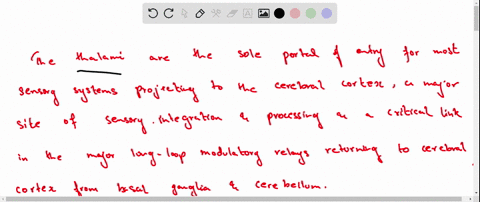 which-area-is-the-main-source-of-input-to-the-cerebral-cortex-4-68283