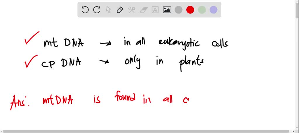 SOLVED: Which characteristics of mitochondrial DNA and chloroplast DNA ...