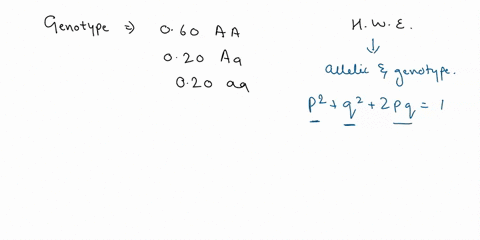 if-the-genotype-frequencies-in-a-population-are-060-mathrmaa-020-mathrmaa-and-020-mathrmaa-and-if-th-30988