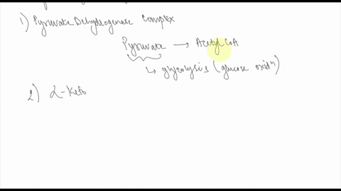 select-all-the-enzymes-and-pathways-that-would-be-directly-impaired-by-a-thiamine-deficiency-gluconeogenesis-pdh-complex-glycolysis-citric-acid-cycle-80467