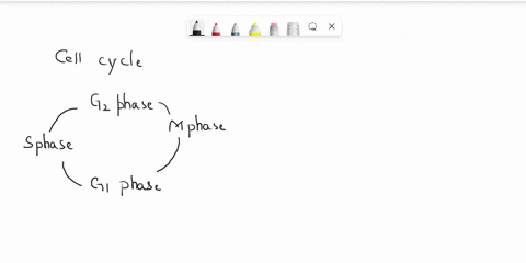 could-you-answer-all-of-these-please-3explain-how-the-cell-cycle-control-system-works-and-what-the-major-checkpoints-molecular-breaks-in-the-cell-cycle-mean-4define-and-describe-the-role-of-32993