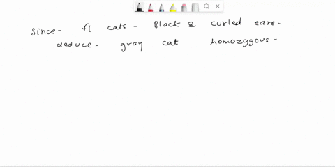 4-in-cats-curled-ears-result-from-an-allele-c-that-is-dominant-over-allele-c-for-normal-ears_-black-color-results-from-an-independently-an-assorting-allele-g-that-is-dominant-over-an-allele-45638