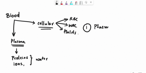 write-any-three-components-of-blood-and-mention-one-functions-of-each-08566