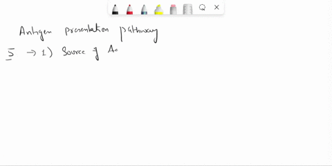 name-5-differences-between-endogenous-and-exogenous-antigen-presentation-pathways-13791