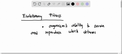 evolutionary-fitness-means-group-of-answer-choices-having-the-most-mutations-having-the-best-genes-maximising-the-number-of-reproductive-offspring-that-you-produce-maximising-your-chances-of-80337