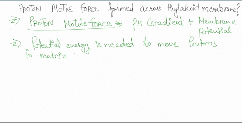 calculate-the-proton-motive-force-that-would-be-formed-across-a-thylakoid-membrane-that-maintained-a-89947