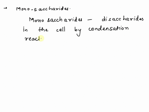 monosaccharides-joining-together-to-form-polysaccharide-is-a-example-of-forming-a-through-reactions-monomers-polymer-condensation-monomers-polymer-hydrolysis-polymers-monomer-hydrolysis-mono-84371