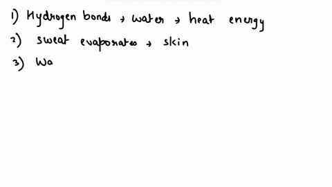 24-many-hydrogen-bonds-must-be-broken-for-water-t0-evaporale-this-requires-large-amount-of-heat-energy-when-sweat-evaporates-it-absorbs-heat-from-your-skin-cooling-it-water-is-cohesive-and-a-76151