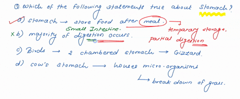 033-05-pts-question-5-which-of-the-following-statements-about-stomachs-are-true-check-all-that-apply-the-stomach-stores-food-after-a-meal-the-majority-of-digestion-happens-in-the-stomach-bir-16521