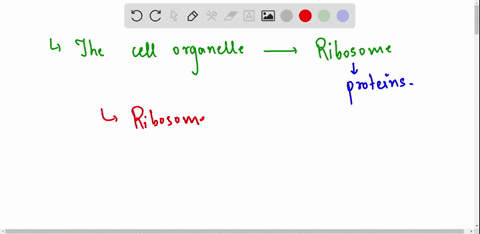 which-cell-organelle-is-correclly-aligned-with-its-function-chloroplast-controls-cell-function-cytoplasm-digests-old-cell-parts-mitochondrion-stores-wastes-ribosome-produces-proteins-08607
