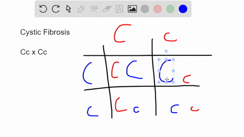 cystic-fibrosis-is-an-autosomal-recessive-disorder-a-couple-are-both-carriers-of-the-recessive-allele-le-they-are-both-heterozygous-cc-and-have-the-normal-wld-type-phenotype-what-ts-the-prob-03994