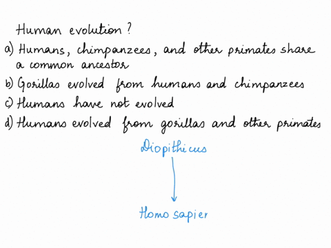which-of-the-following-best-describes-how-most-scientists-think-humans-evolved-pretest-unit-10-question-7-of-30-point-which-of-the-following-best-describes-how-most-scientists-think-humans-e-57293