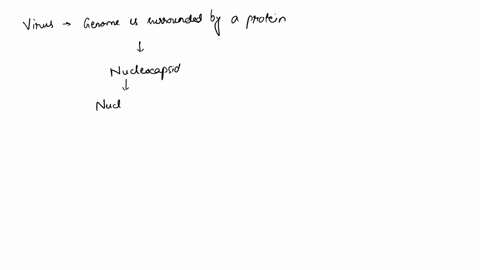 most-viruses-have-either-an-icosahedral-or-helical-structural-protein-that-surrounds-the-nucleic-acid-genome-what-is-this-structural-component-called-select-one-a-viral-attachment-protein-va-10449