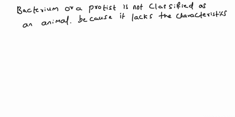 why-is-a-single-celled-organism-not-classified-as-an-animal-44815