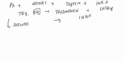 release-of-trypsin-and-chymotrypsin-in-their-active-form-can-result-in-the-digestion-of-the-pancreas-or-small-intestine-itself-what-mechanism-does-the-body-employ-to-prevent-its-self-destruc-96862