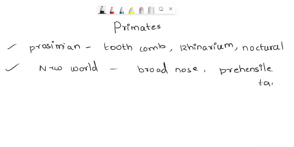 SOLVED: Match the traits on the left to the group of primates that