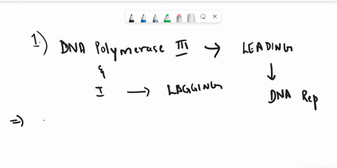 1-dna-polymerase-iii-synthesizes-the-leading-strand-during-dna-replication-dna-polymerase-iii-and-i-are-involved-in-synthesizing-the-lagging-strand-true-false-2-since-dna-consists-of-two-str-22821
