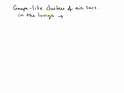 what-are-the-grape-like-clusters-of-air-sacs-in-the-lungs-88115