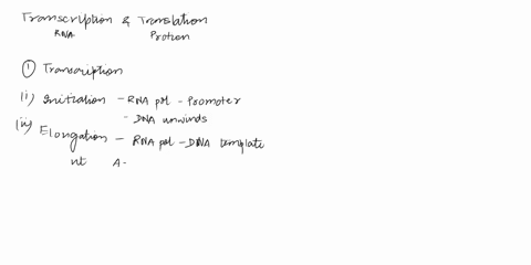 basic-principle-of-transcription-and-translation-central-dogma-of-genetic-information-transcription-vs-translation-in-prokaryotes-vs-eukaryotes-how-mrna-is-made-from-dna-template-strand-func-18087