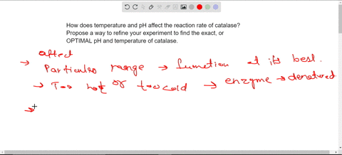 how-does-temperature-and-ph-affect-the-reaction-rate-of-catalase-propose-a-way-to-refine-your-experiment-to-find-the-exact-or-optimal-ph-and-temperature-of-catalase-64257