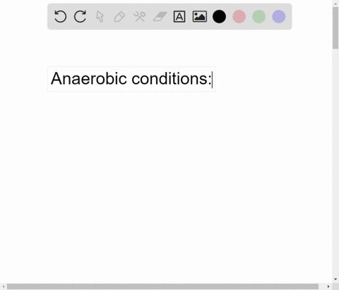 which-one-of-these-pathways-would-be-active-in-an-anaerobic-condition-a-glycolysis-b-electron-transp-55875