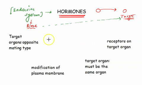 hormones-are-chemical-substances-produced-in-one-organ-that-are-released-into-the-bloodstream-and-affect-the-function-of-a-target-organ-which-of-the-following-conditions-is-required-for-the-60528