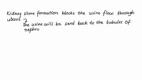 explain-how-a-kidney-stone-blocking-urine-flow-through-the-ureter-eventually-may-decrease-filtrate-formation-in-the-glomerular-capsule-71746
