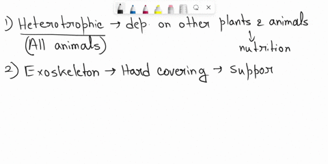 classify-each-of-the-following-as-being-characteristic-of-vertebrates-invertebrates-or-all-animals-is-heterotrophic-has-an-exoskeleton-has-an-endoskeleton-is-eukaryotic-99754