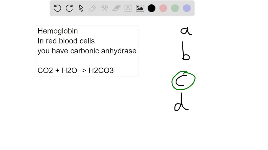 SOLVED How does hemoglobin function as a pH buffer? Hemoglobin